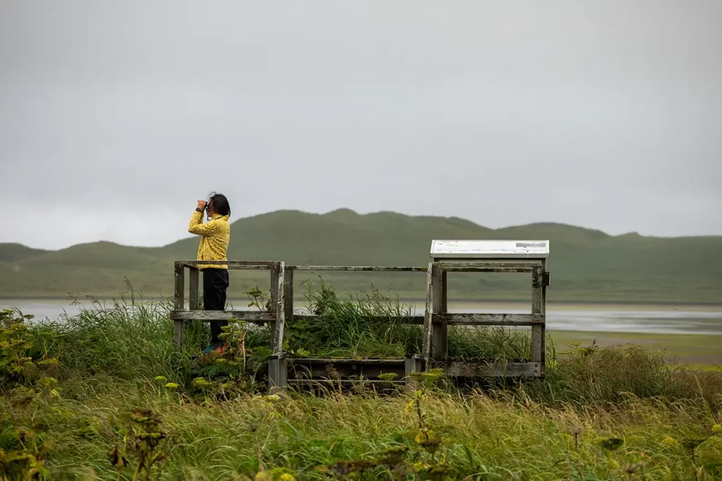 Woman bird watching in Adak island, Alaska.